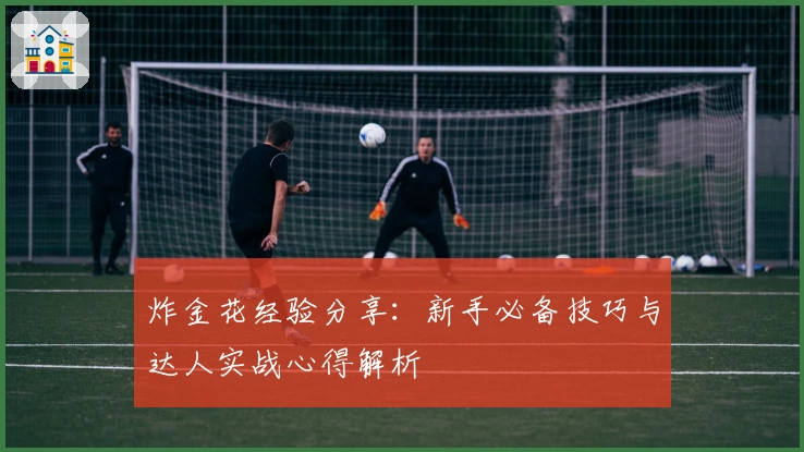 炸金花经验分享：新手必备技巧与达人实战心得解析