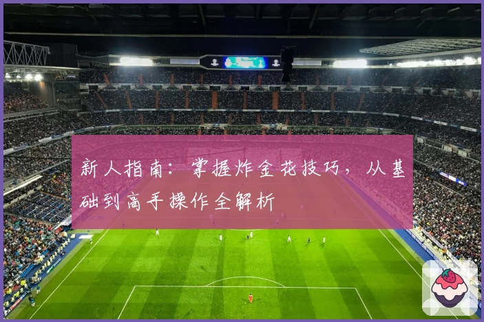 新人指南:掌握炸金花技巧,从基础到高手操作全解析