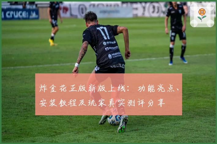 炸金花正版新版上线：功能亮点、安装教程及玩家真实测评分享